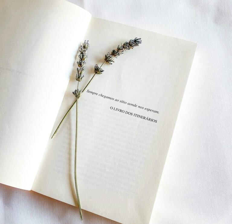 Livro aberto com ramos de lavanda
